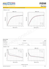 RBM-1215D/P Datasheet Page 3