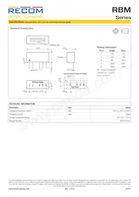 RBM-1215D/P Datasheet Page 6