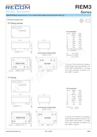 REM3-4815DW/A/CTRL Datasheet Page 6