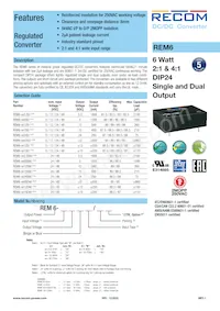 REM6-4815DW/A/CTRL Datasheet Cover