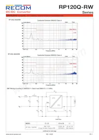 RP120Q-11005SRW/P-HC Datenblatt Seite 11
