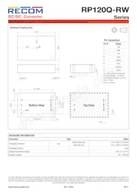 RP120Q-11005SRW/P-HC數據表 頁面 15