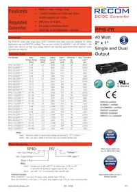 RP40-11024DFR/N-HC Datasheet Copertura