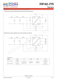 RP40-11024DFR/N-HC Datenblatt Seite 10