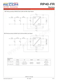 RP40-11024DFR/N-HC數據表 頁面 10