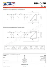 RP40-11024DFR/N-HC Datenblatt Seite 11