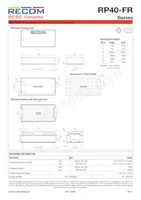 RP40-11024DFR/N-HC Datasheet Page 12