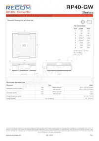 RP40-4815DGW/N-HC Datenblatt Seite 8