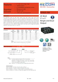 RPA20-2415DAW/P-HC Datasheet Copertura