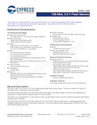 S25FL128P0XNFI011M Datasheet Copertura