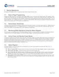 S25FL128P0XNFI011M Datasheet Pagina 8