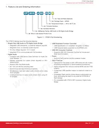 CP2615-A01-GMR Datenblatt Seite 2