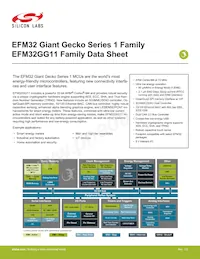 EFM32GG11B420F2048IQ100-B Datasheet Cover