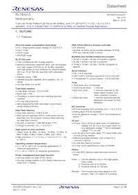 R5F101JEDFA#X0 Datasheet Cover