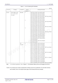 R5F101JEDFA#X0 Datasheet Page 11