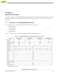 S9S08DN60F1MLF Datasheet Pagina 19