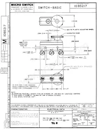 10BS217 Datasheet Copertura