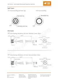 AVC22LS16FE1DT5A04 Datenblatt Seite 4