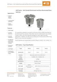 AVP22MAIBCE0DT5A04數據表 封面