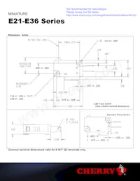 E21-00AX Datasheet Page 2