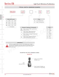 EB2061-E-J43AEF Datenblatt Seite 3