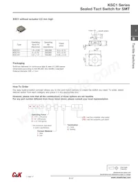 KSC421V30ACT3.17 Datasheet Pagina 3