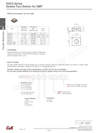 KSC421V30ACT3.17 Datenblatt Seite 4