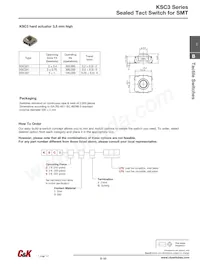 KSC421V30ACT3.17 Datasheet Pagina 5