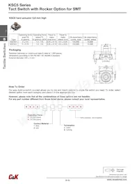 KSC421V30ACT3.17 Datasheet Pagina 10