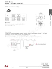 KSC421V30ACT3.17數據表 頁面 13