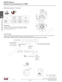 KSC421V30ACT3.17 Datasheet Pagina 14