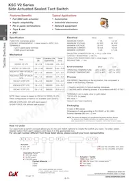 KSC421V30ACT3.17 Datasheet Pagina 16