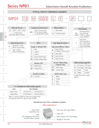 NP0115HG03LF-S Datasheet Pagina 3