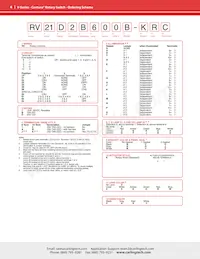 RV24D1DH0CB-K9C Datasheet Pagina 4