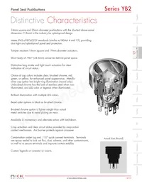 YB226CWSKW01-N-S Datasheet Pagina 2