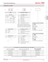 YB226CWSKW01-N-S Datasheet Pagina 4