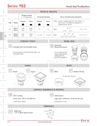 YB226CWSKW01-N-S Datasheet Pagina 5