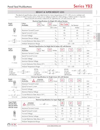 YB226CWSKW01-N-S Datasheet Pagina 6