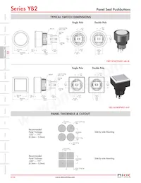 YB226CWSKW01-N-S Datasheet Pagina 9