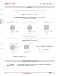 YB226CWSKW01-N-S Datasheet Page 13