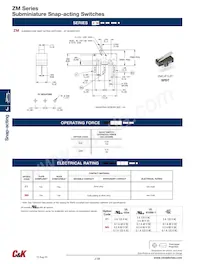 ZMCHM9T23L數據表 頁面 2