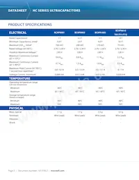 BCAP0025 P270 T11 Datasheet Page 2