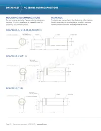 BCAP0025 P270 T11 Datasheet Page 7