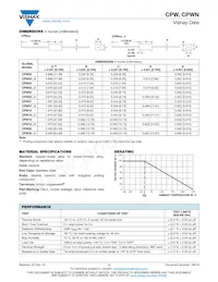 CPWN20R3000JB143 Datasheet Page 2