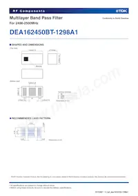 DEA162450BT-1298A1 Datasheet Pagina 2