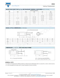 MALREKE00DE210N00K Datasheet Pagina 2