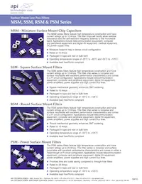 PSM4F-402Z-20T2 Datasheet Page 10