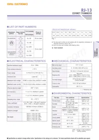 RJ-13SR502 Datasheet Pagina 2