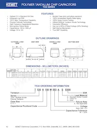 T530X687M004ASE006 Datenblatt Cover