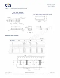 219-12MSTJRF Datenblatt Seite 4